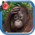 B52d2bc5833bf5a2a605547192c48401 Icon.png