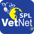 1725a4f9d16afddabe672e7d58846fe1 Icon.png