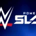 WWE Power Slap.jpeg.webp.webp